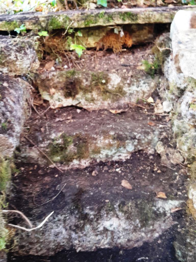 Découverte de l'escalier allant à l'ancien potager