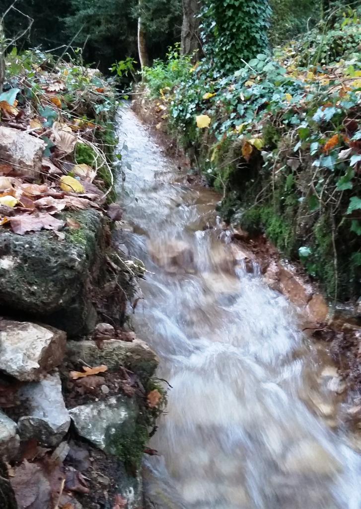 Canal de la source 