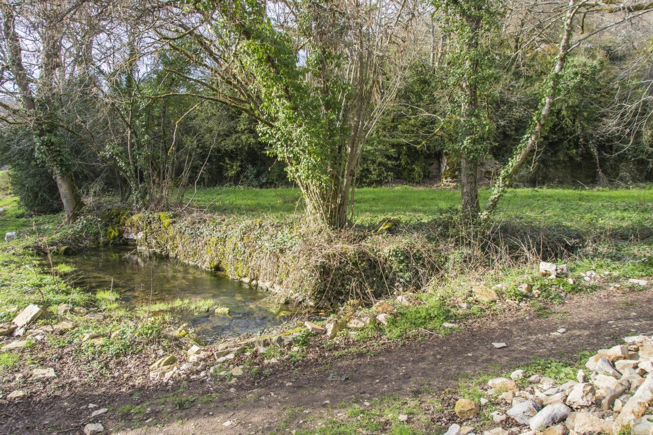 Bassin après la source