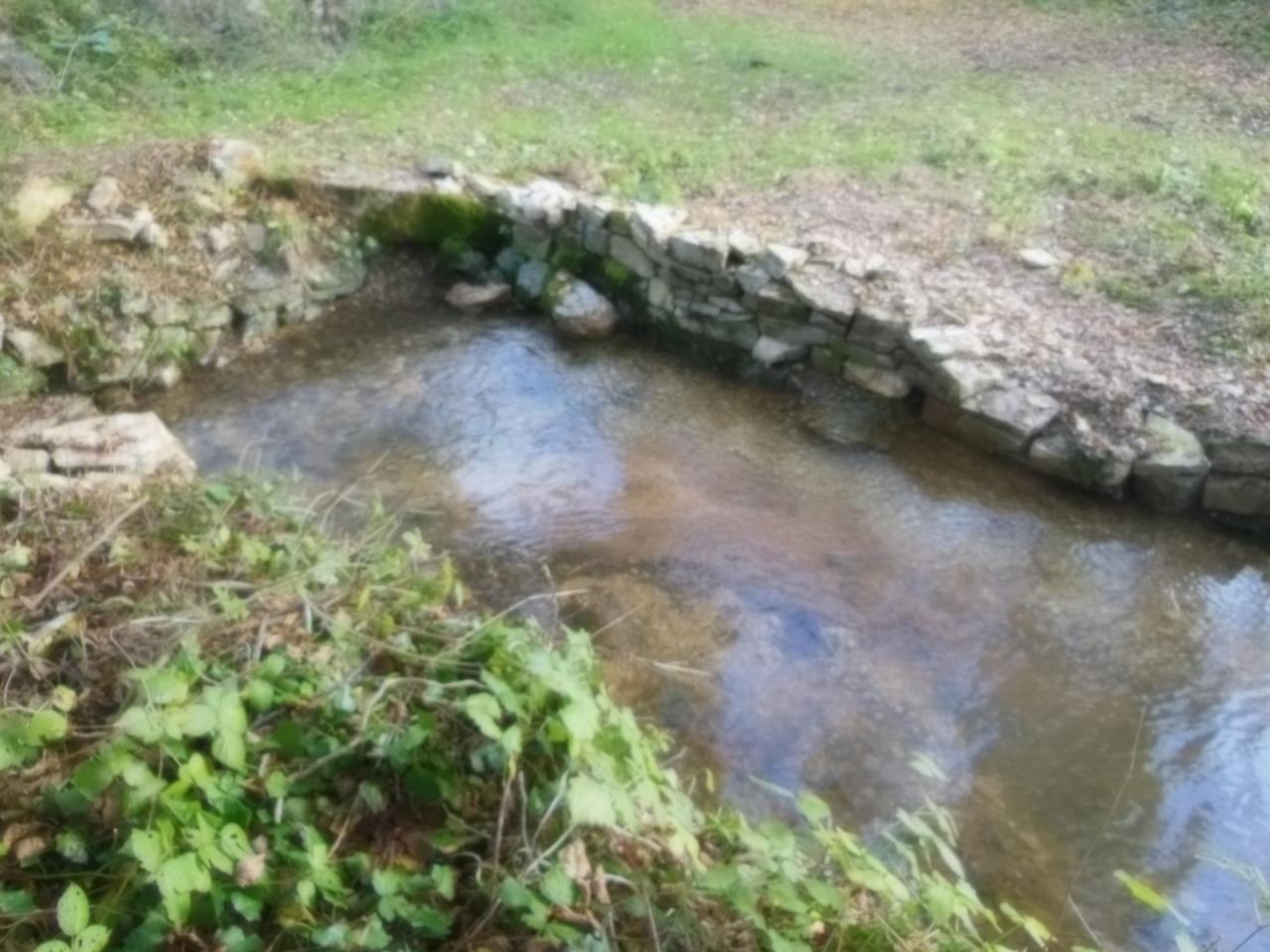 Bassin depuis l'ancien potager