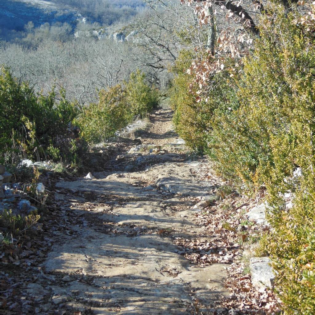 Chemin (Direction Saint Symphorien)