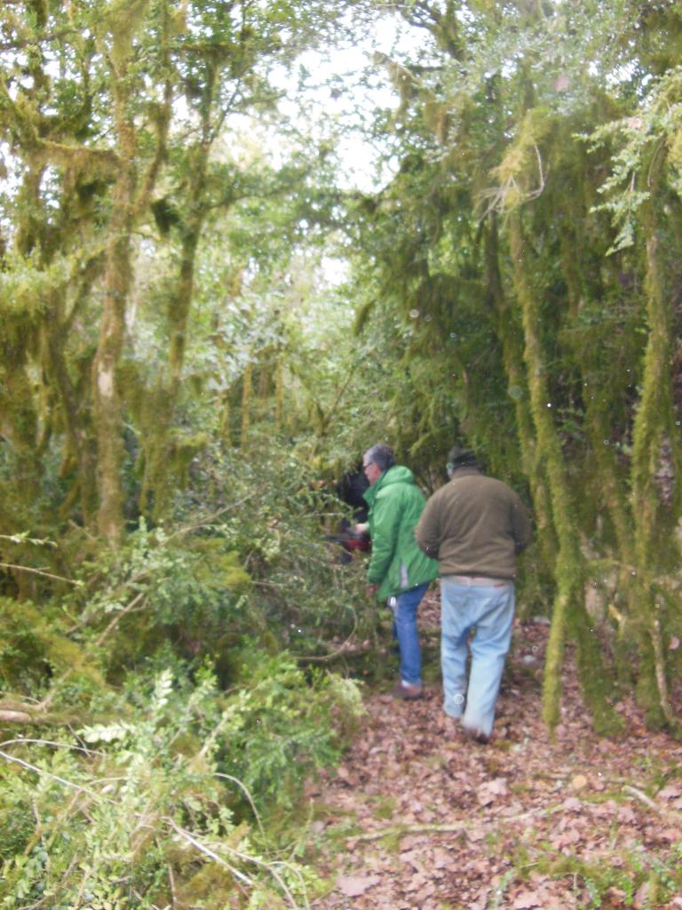 Débroussaillage des chemins