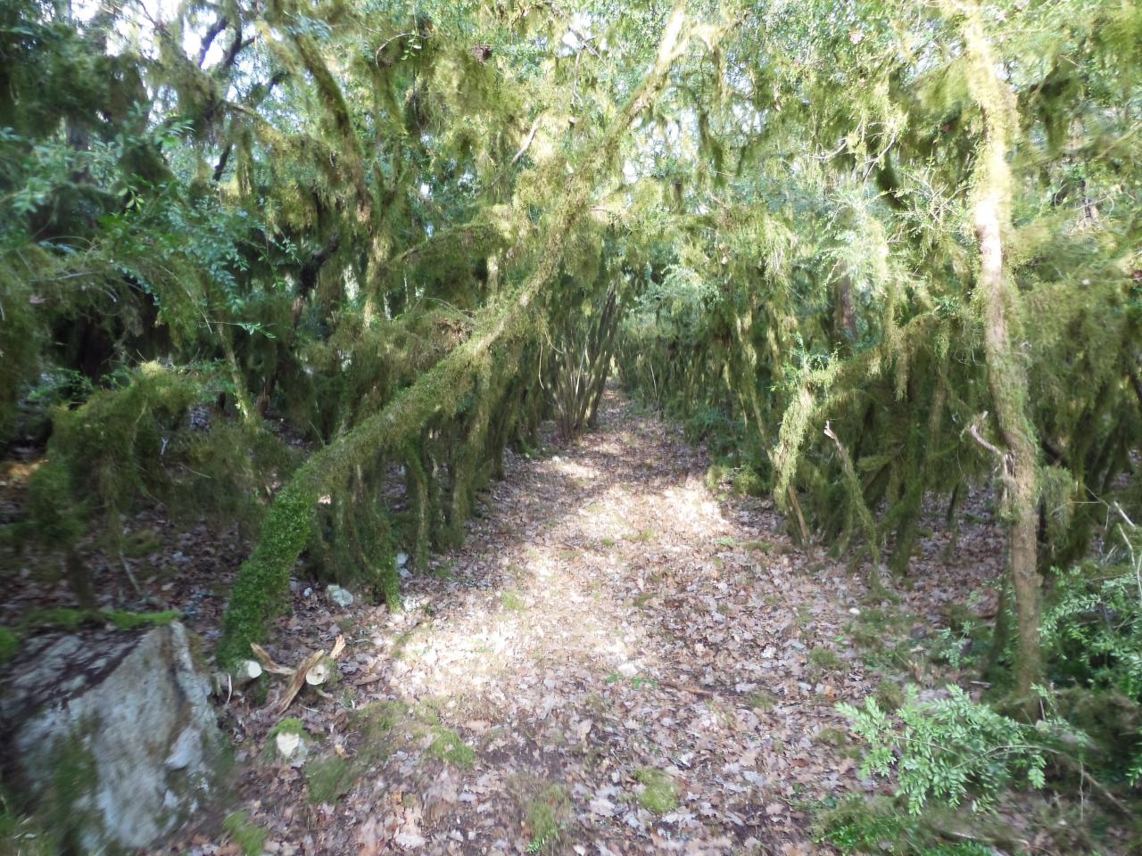 Entretien des Chemins