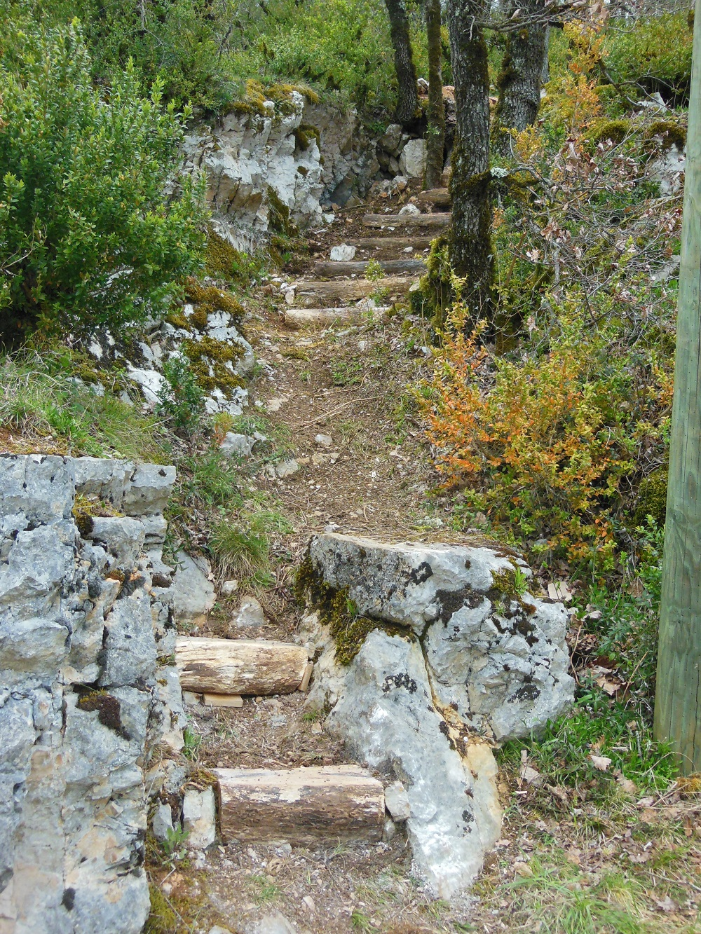 Un bel escalier !