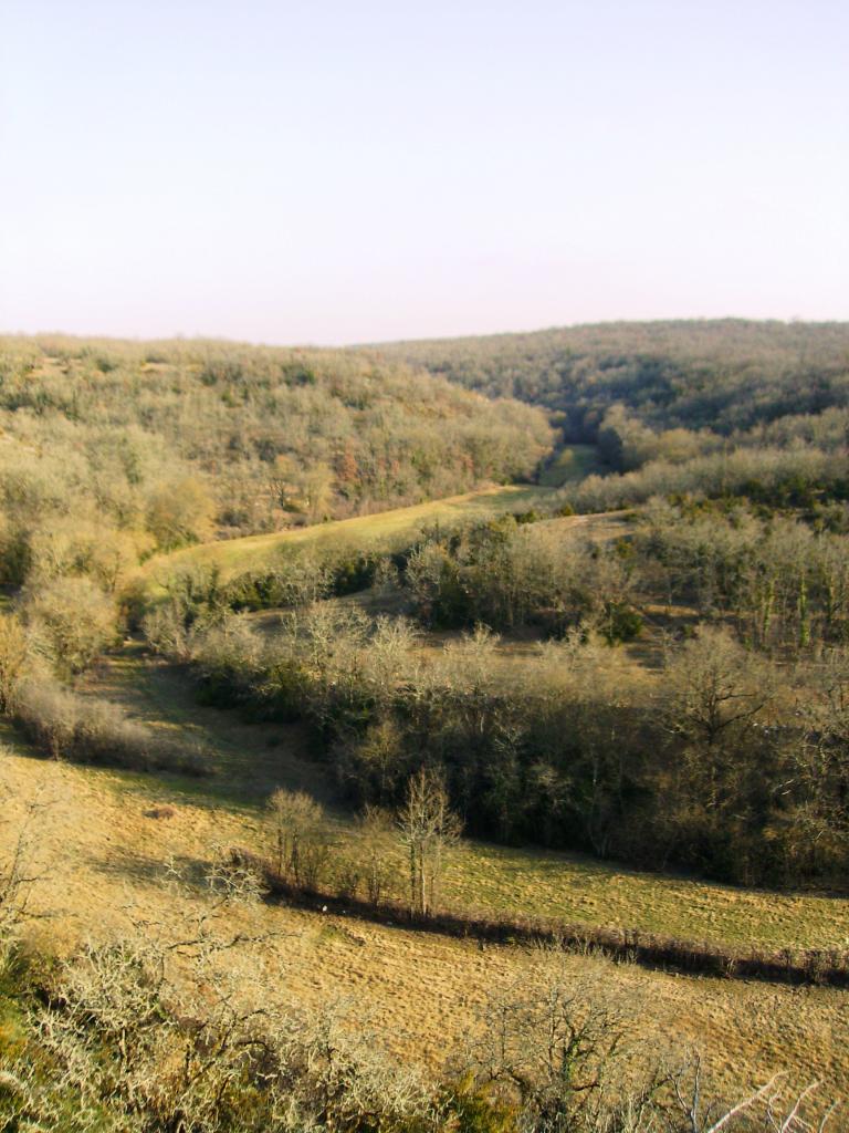 Vallée